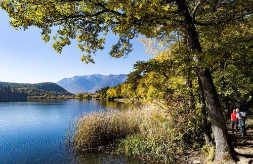 Lafoi - Apartments in Eppan - Photo 8