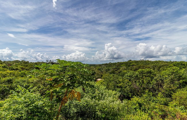 PF12 - Ótima Casa 3 Quartos - Açu da Torre - Foto 41