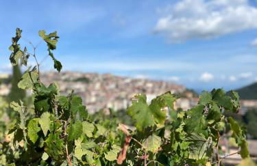 Villa Allegrini - Foto 13