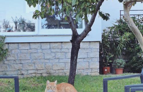 New apartment ViVaNo V I D with amazing view - Photo 39