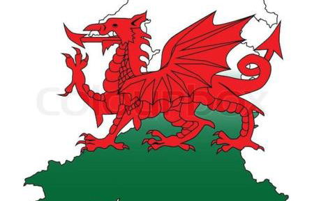 Quirky Cottage with Private Garden Nr New Quay Cardigan Bay - Photo 21