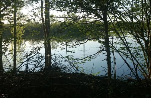 Apartment Apartment Laurence by Interhome - Foto 36