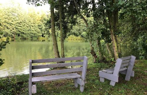 Le Cottage de l etang - Foto 13