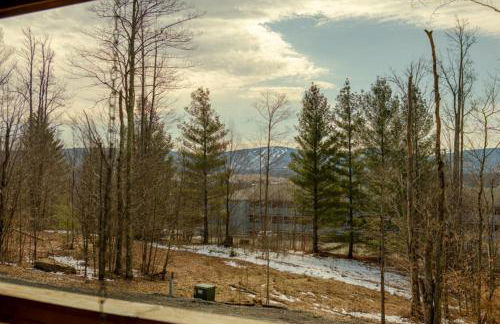 Leaf Peeper's - HUGE deck, pizza oven, Pac-man! - Photo 61