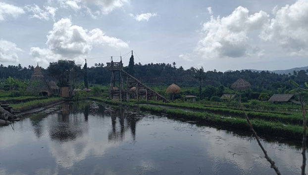 The Best of Eastern Bali Private Tour - Photo 3
