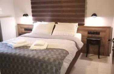 Τείχιο Πατρικό - Tihio Patriko - Πέτρινη κατοικία - Foto 50