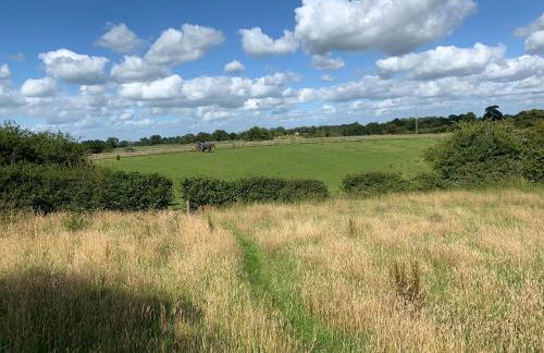 Rainbow View - Foto 19