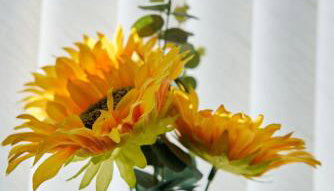 Douglas Gatehouse - Foto 5