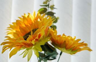 Douglas Gatehouse - Foto 5