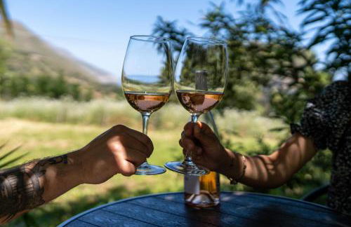 L'oasi nello Zingaro - Foto 45