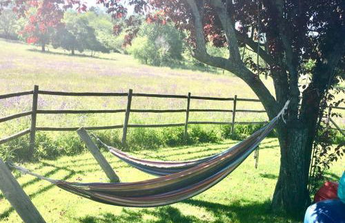 La Casa Amarilla de Cercedilla - Foto 30