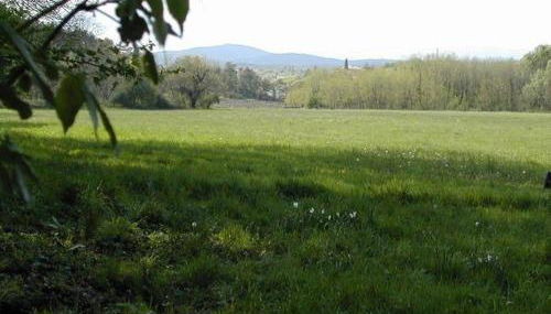 Le Gîte du bonheur - Foto 5, Garden