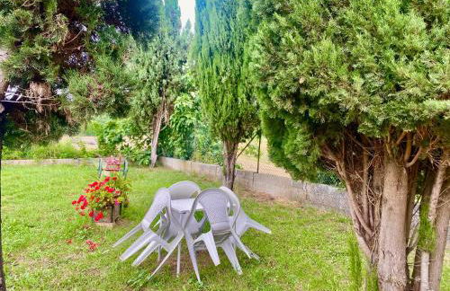 Adamasseria - Foto 18