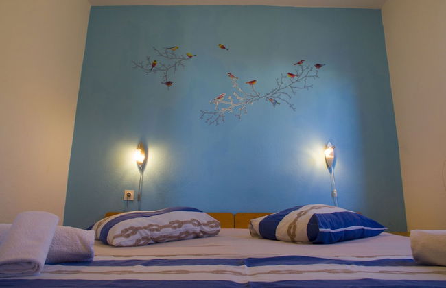 Victorious VIScovery Green - Foto 17