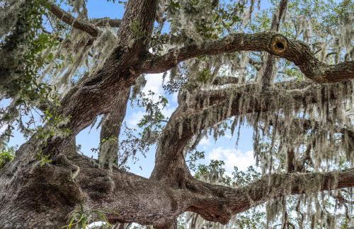 The Sandpiper - Just Steps to Downtown Beaufort and Beaufort River - Photo 45