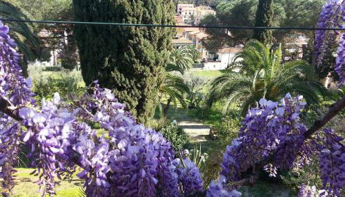 Villa San Giuseppe - Foto 3, Garden view