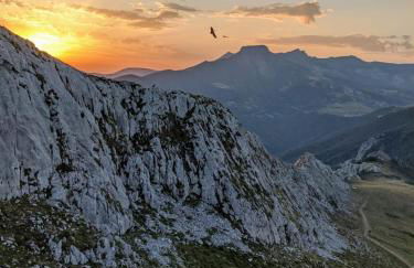 Apartamento Olmares Picos de Europa - 4 personas - Photo 21