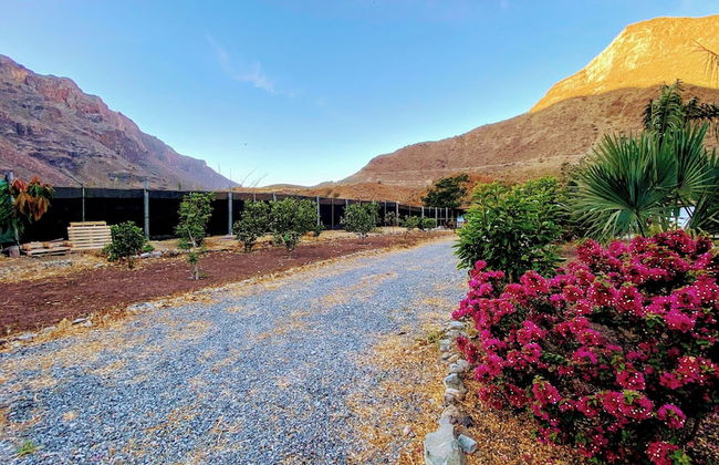 Renovated Tiny House in the Country Near Fataga - Photo 28