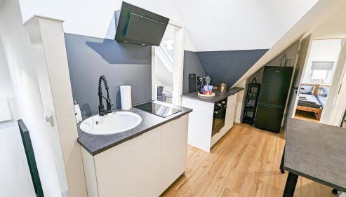 ALFA Stuttgart 3BR 5 Beds Netflix INET EBK Wasen Apartment nahe Daimler l Bathroom l Kitchen l WIFI & SmartTV l 3 Zimmer 5 Betten l Küche l Duschbad - Foto 5, stove