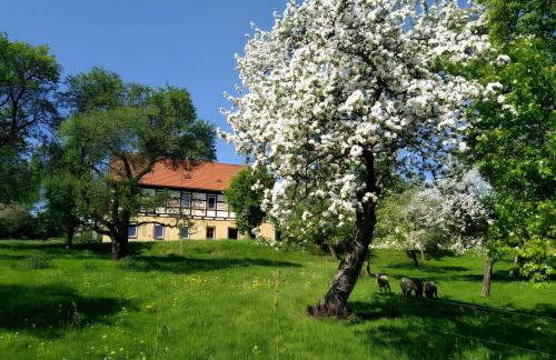 Ferienwohnung Böhme - Foto 1