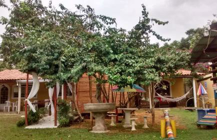 Chácara Manacá - Photo 20