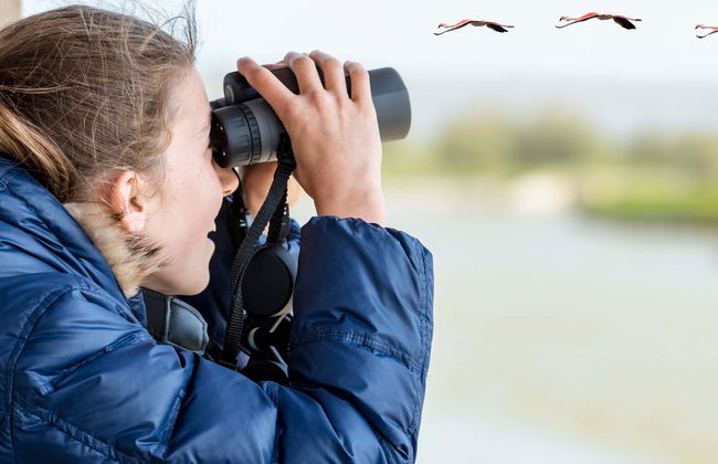 Birdwatching on the Carretera Austral - Foto 1