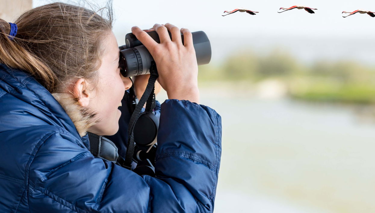 Birdwatching on the Carretera Austral
