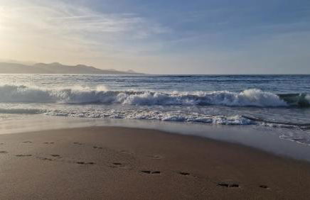 Las Canteras Beach at Marina 19 - Foto 10