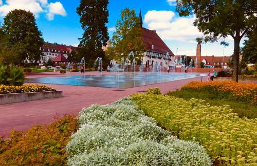 Haus Jenni im Schwarzwald, 3,5-Zimmer, große Terrasse - Foto 56