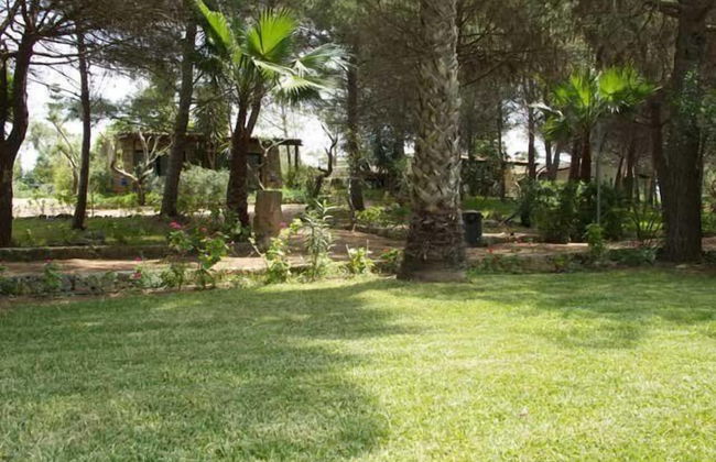 Tenuta Terenzano - Photo 34