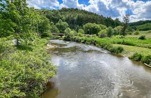 Bear Necessities - Photo 30