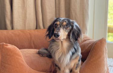 Luxury Boutique retreat, hot tub, dog friendly - Foto 61