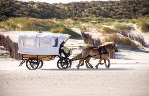 Deichknutt Watt - Foto 14