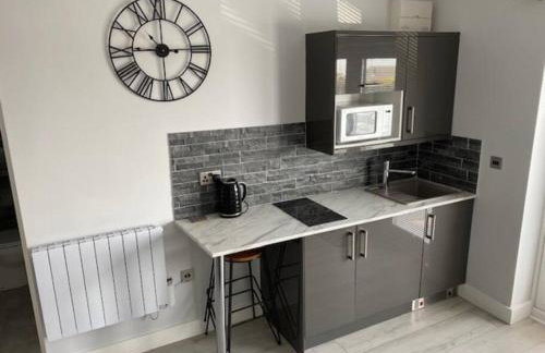 Luxury Mumbles View Studio Apartment - Foto 7