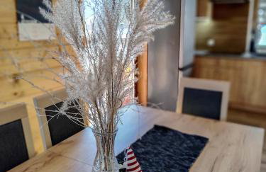 Bieszczadzka Ostoja - całoroczne domy na wynajem w Kalnicy - Foto 21