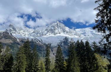 Chalet Atmosphere Chamonix City Center Large T3 - Foto 47