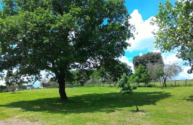 Agriturismo San Filippo - Foto 13