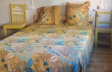 Frida Kahlo - Foto 5