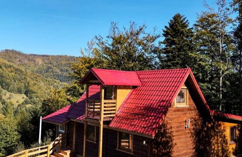 Przystanek Bystra - Foto 1