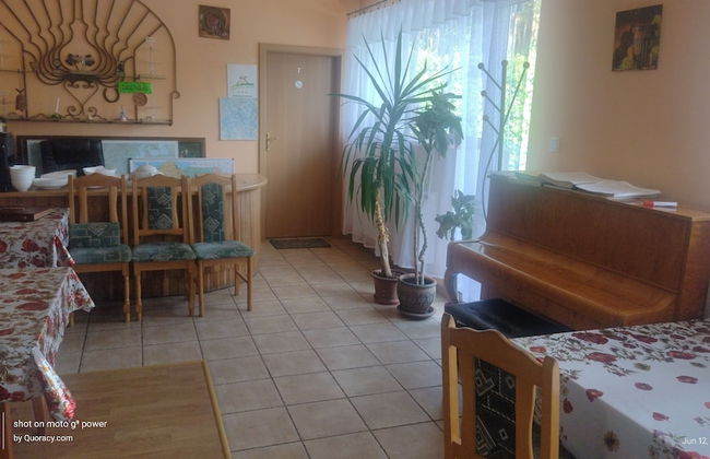 Agroletnica Country house - Foto 45