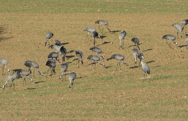 Fine Stuuv Comfortable Holiday Residence - Foto 13