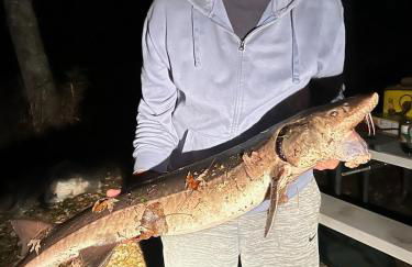 The River Cabin - Foto 46