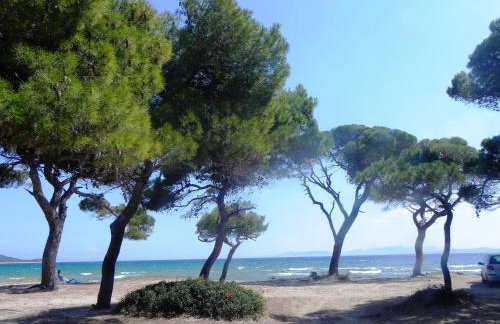 Marathon Eco Stay - Foto 27