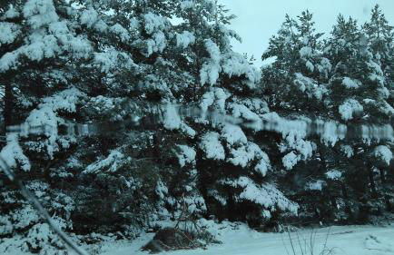 El Torreón I - Photo 26