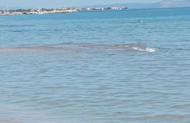 Casa Viva Artemis - Foto 15