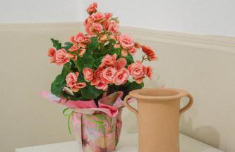 Rifugio del Sole - Foto 20