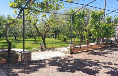 Apartments Doris - Foto 17