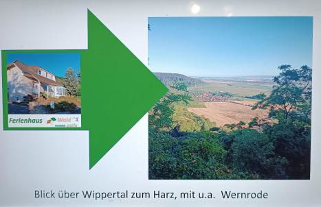 Ferienhaus Waldperle Harzblick - Foto 6