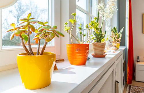 Haus-Archsum - Photo 29