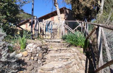 Podere Casanova - Foto 27